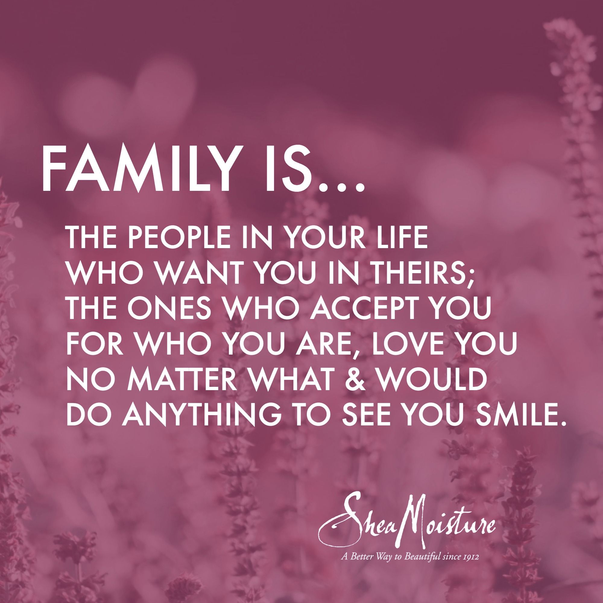 Meaning of family quotes