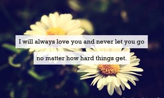 I love you quotes with picture
