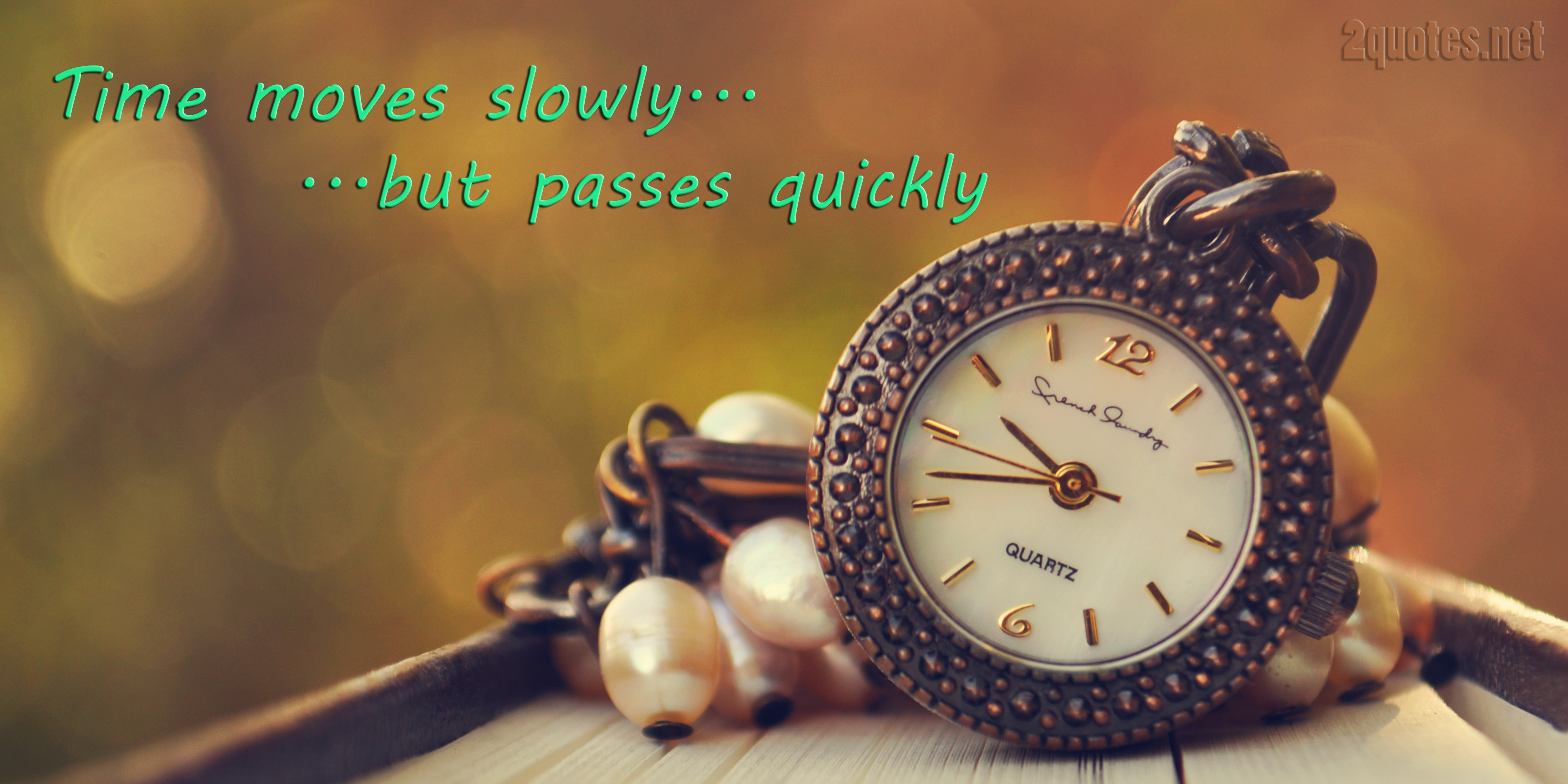 Quotes About Time Passing Too Fast Don t Waste Time 