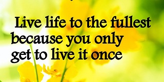 Inspirational Quotes About Enjoy Your Life