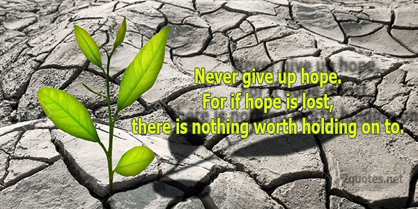Never give up hope quotes 