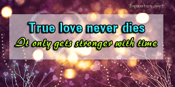 true love never dies quotes