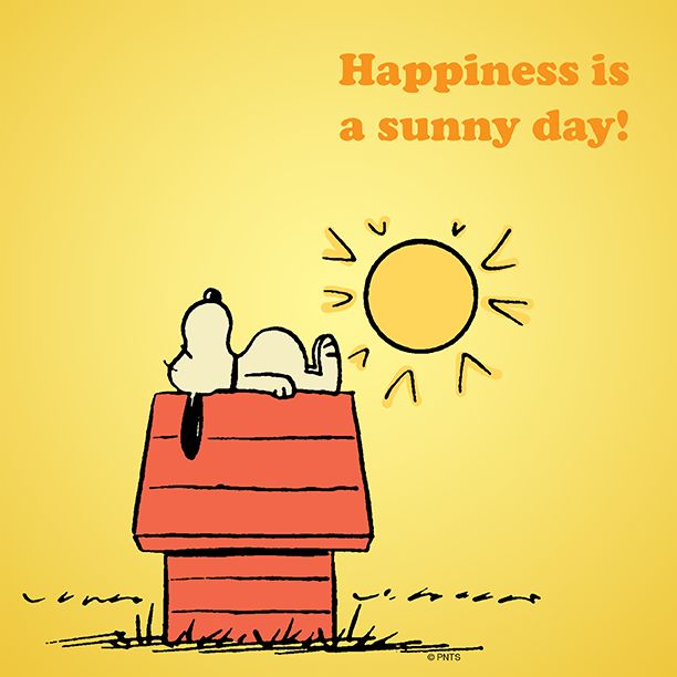 Sunny Day Quotes: Happiness Is A Sunny Day