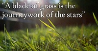 Walt Whitman Leaves Of Grass Quotes - Whitman Quotes