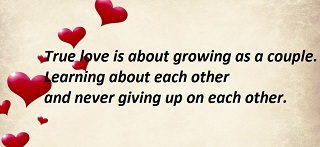 Never Give Up On Love Quotes And Sayings - This Is True Love