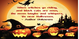 Funny Quotes And Sayings About Halloween Day