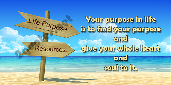 Finding Your Purpose In Life Quotes And Sayings