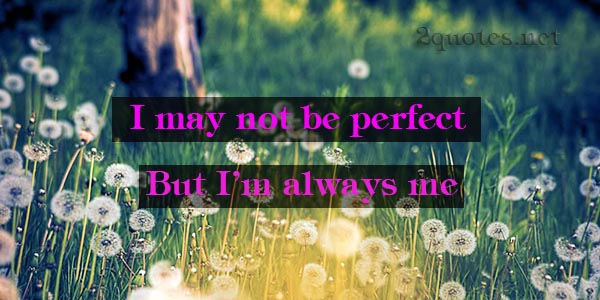 I May Not Be Perfect Quotes And Sayings