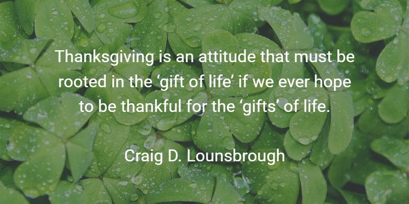 12 Gift of Life Quotes Worth Sharing and Remembering
