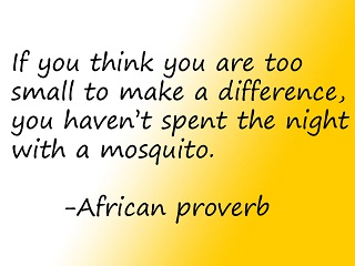 African proverb 1