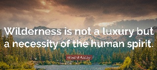 edward abbey quotes