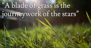 http://2quotes.net/authors/walt-whitman-leaves-of-grass-quotes-whitman-quotes.html