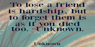 Sad quotes about losing your best friend 