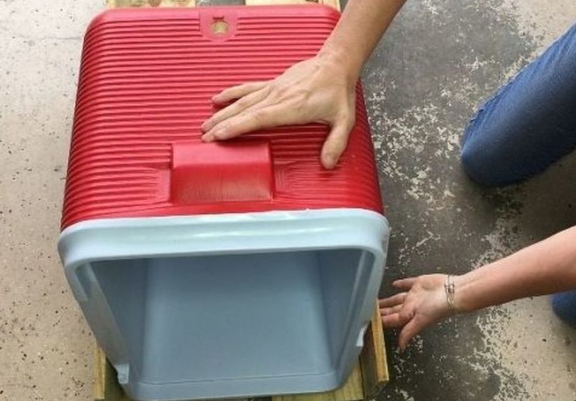 10 Fun Coolers Your Family Can Build To Keep Drinks Cool