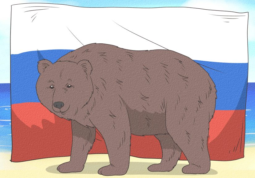 Bear Symbolic Meaning: Across Cultures & Mythologies