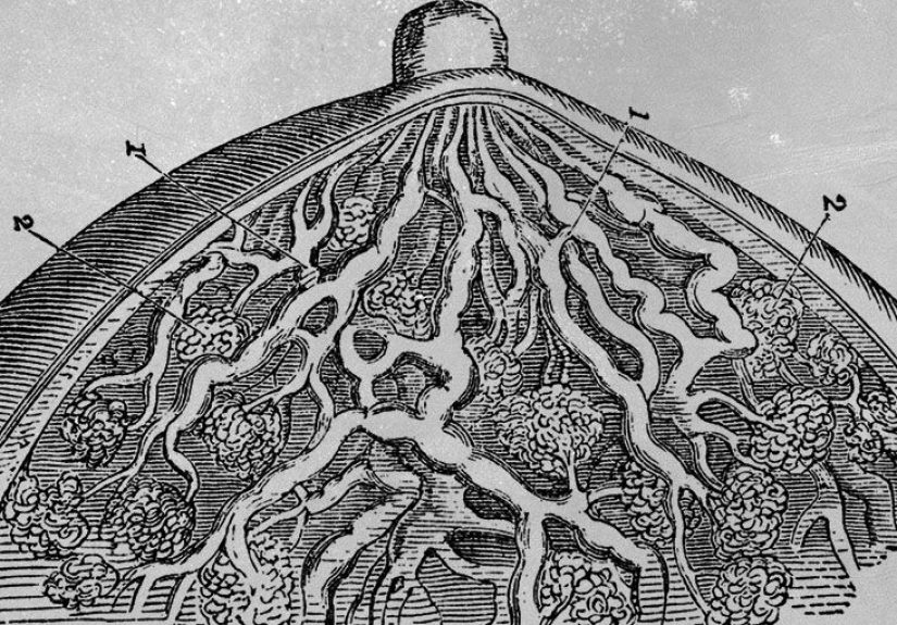 Breast cancer types: Definitions, symptoms, treatments, and more