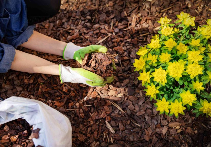 Can You Reuse the Same Mulch Every Year? We Asked a Landscaping Pro