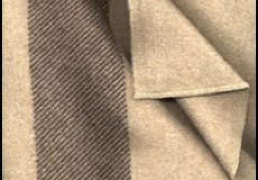 Civil War Fort Sumter Blanket