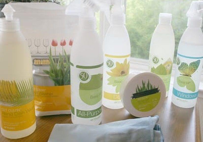 Getting the Dirt on Clean! Shaklee Sha-weetness