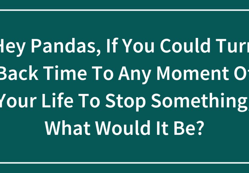 Hey Pandas, If You Could Turn Back Time To Any Moment Of Your Life To Stop Something, What Would It Be?
