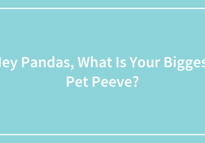Hey Pandas, What Is Your Biggest Pet Peeve? (Closed)