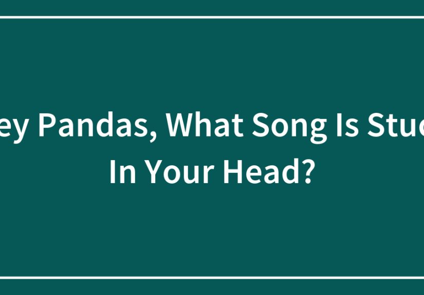 Hey Pandas, What Song Is Stuck In Your Head?