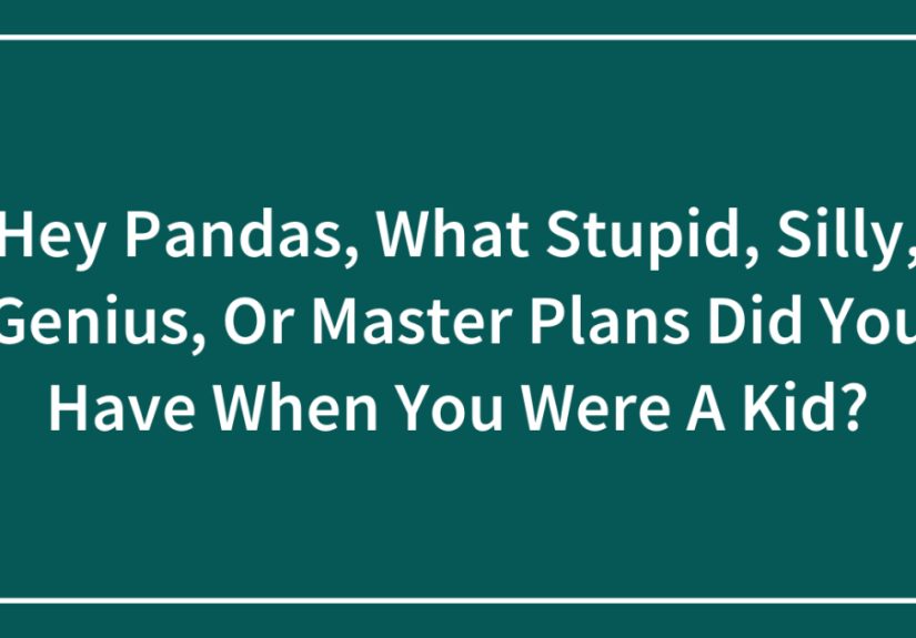 Hey Pandas, What Stupid, Silly, Genius, Or Master Plans Did You Have When You Were A Kid? (Closed)