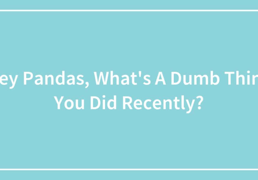 Hey Pandas, What’s A Dumb Thing You Did Recently?