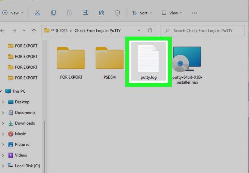 How to Check Error Logs Using PuTTY: 2 Easy Methods