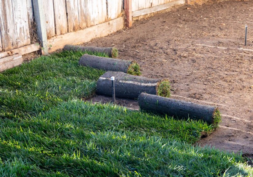 How to Lay Sod to Start a New Lawn