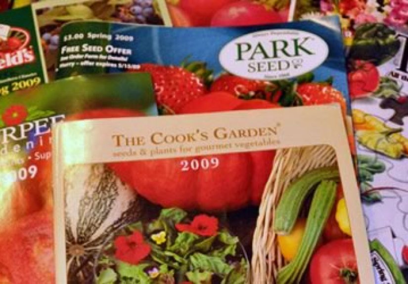 How to Start a Vegetable Garden and Grow Your Own Vegetables