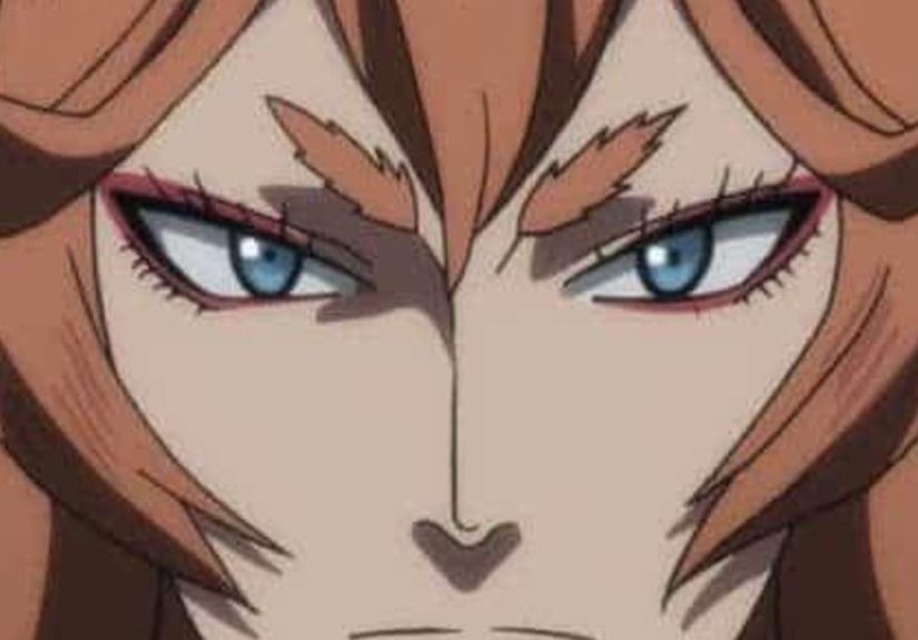 Mereoleona Vermillion Rankings And Opinions