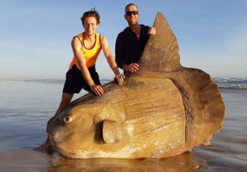 Top 10 Unusual Shoreline Finds