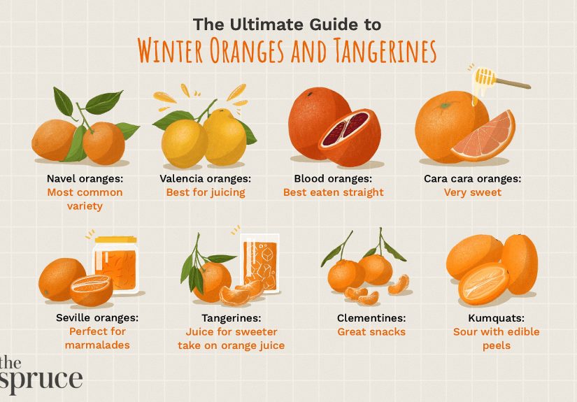 Winter Oranges and Tangerines: Explore the Citrus Variety