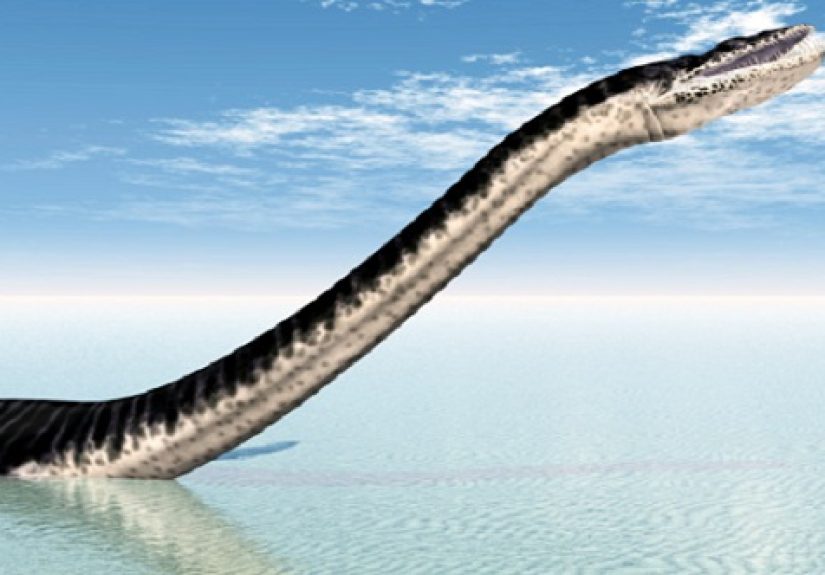 10 Sensational Sea Serpent Sightings