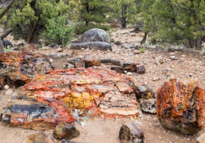 10 Unsolved American Mysteries