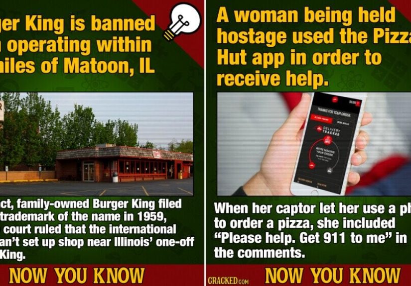 13 Fast Food Facts (Fresh Out Of The Fryer)