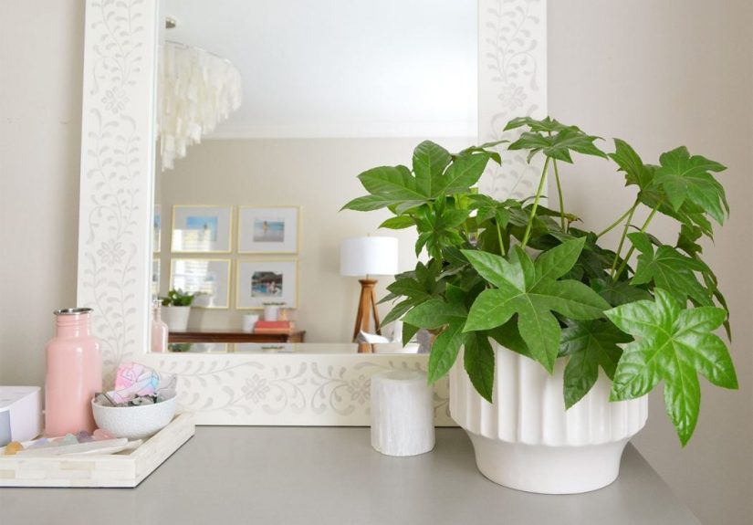 #149: The Episode That Made Me A Plant Lady