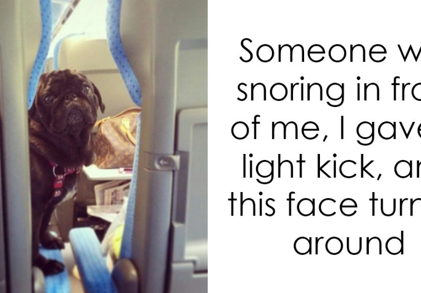 175 Hilarious Animal Snapchats Guaranteed To Make You Laugh Out Loud