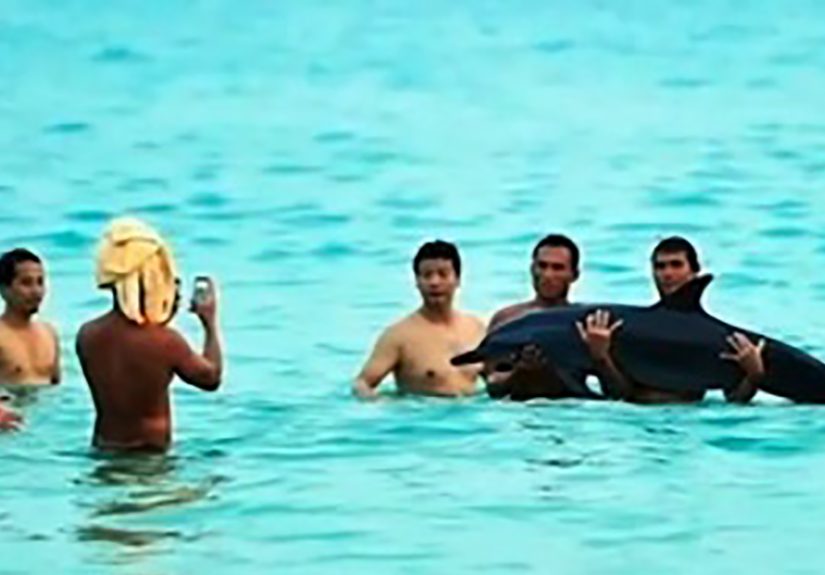 5 Tourists Who Managed to Be the Worst People In the World