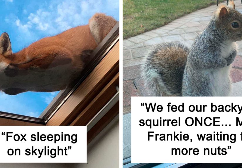 50 Times People Spotted The Cutest Animals And Just Had To Take A Pic Of Them