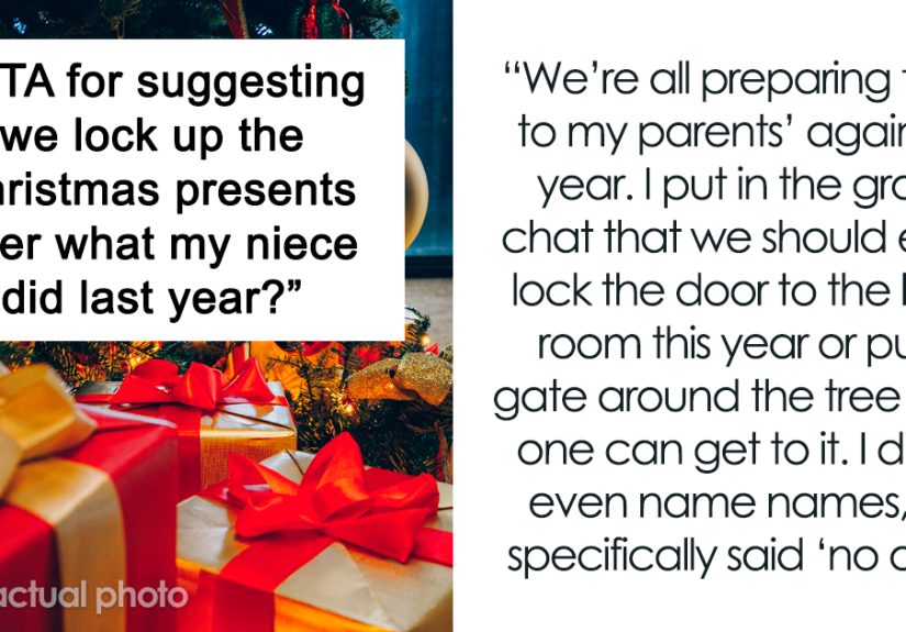 “AITA For Suggesting We Lock Up The Christmas Presents After What My Niece Did Last Year?”