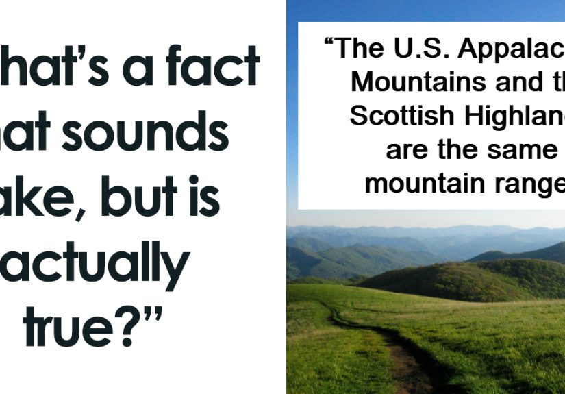 &ldquo;Ancient Egypt Itself Had Egyptology&rdquo;: 81 Real Facts That Sound Absurd