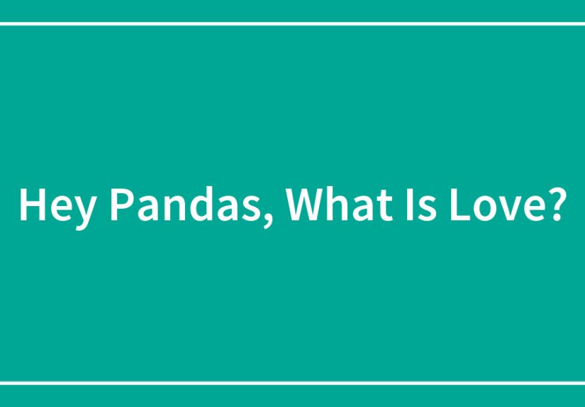 Hey Pandas, What Is Love? (Closed)