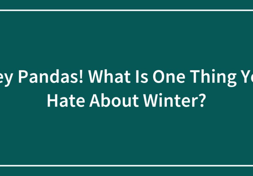Hey Pandas! What Is One Thing You Hate About Winter? (Closed)