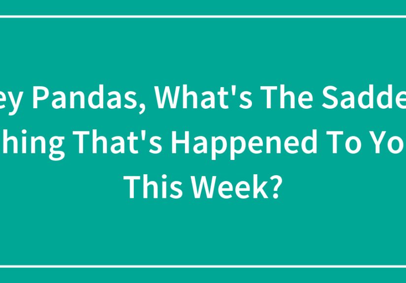 Hey Pandas, What’s The Saddest Thing That’s Happened To You This Week? (Closed)