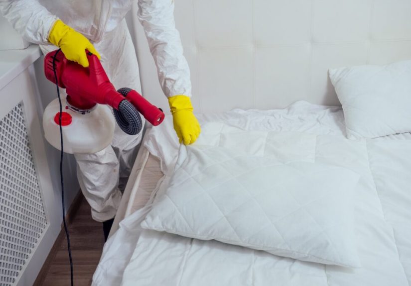 How Much Does a Bed Bug Exterminator Cost? (2025 Guide)