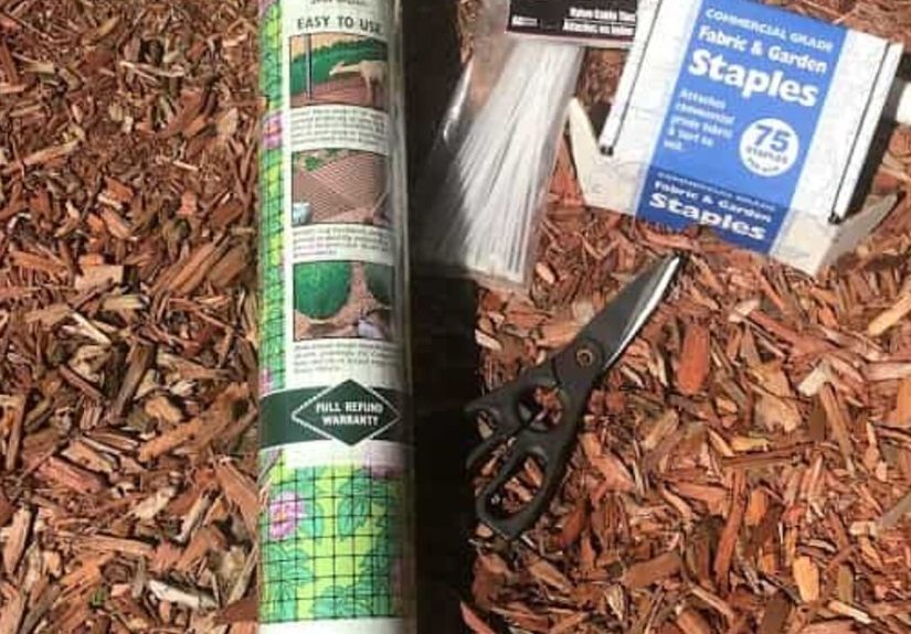 How to Build an Inexpensive Blueberry Bush Cover