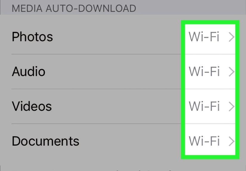 How to Disable Cellular Data for WhatsApp: Easy iPhone Guide