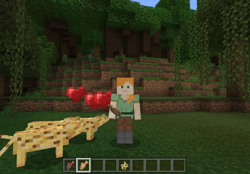 How to Tame an Ocelot in Minecraft